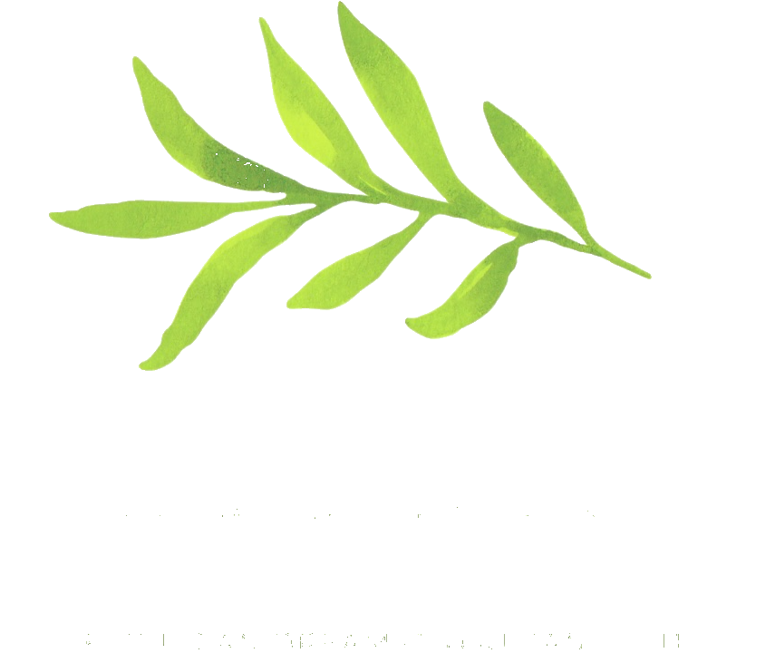 Manifest with Aneta — Personal Development Coaching
